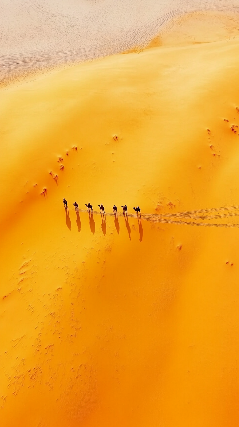 Aerial shot of camel caravan on orange desert dunes in natural light, minimalist composition