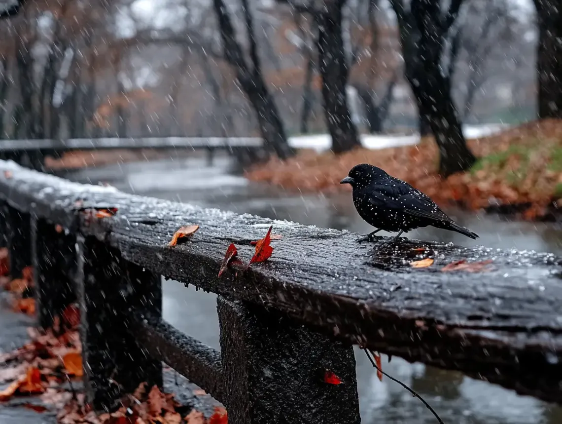 Bird perched on a weathered wooden fence seeking shelter in the rain, creating a serene atmosphere.