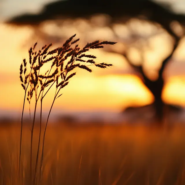 African grassland as a background image.