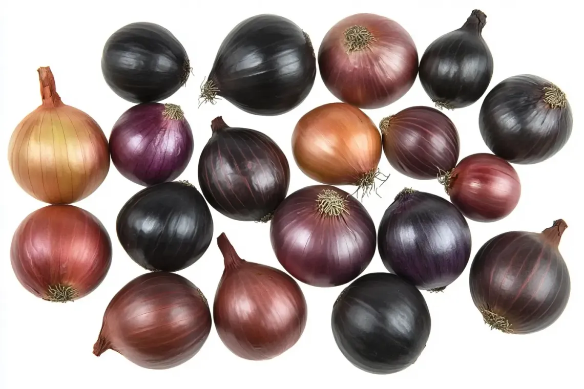 Array of onions in varying sizes and colors on a plain background, suggesting culinary creativity.