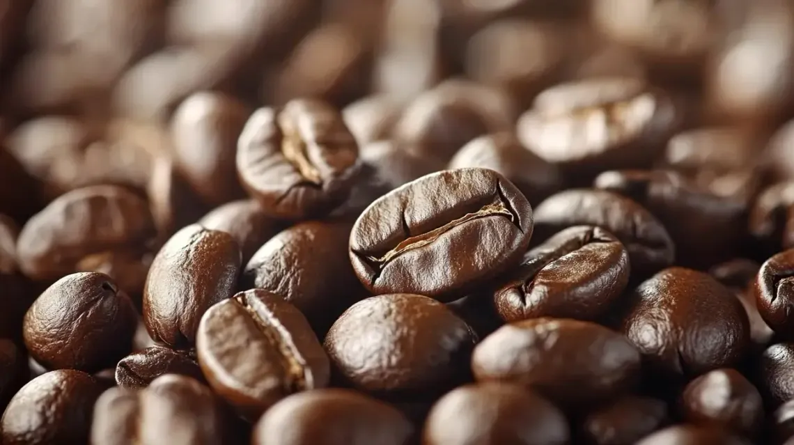 Close-up view of coffee beans.