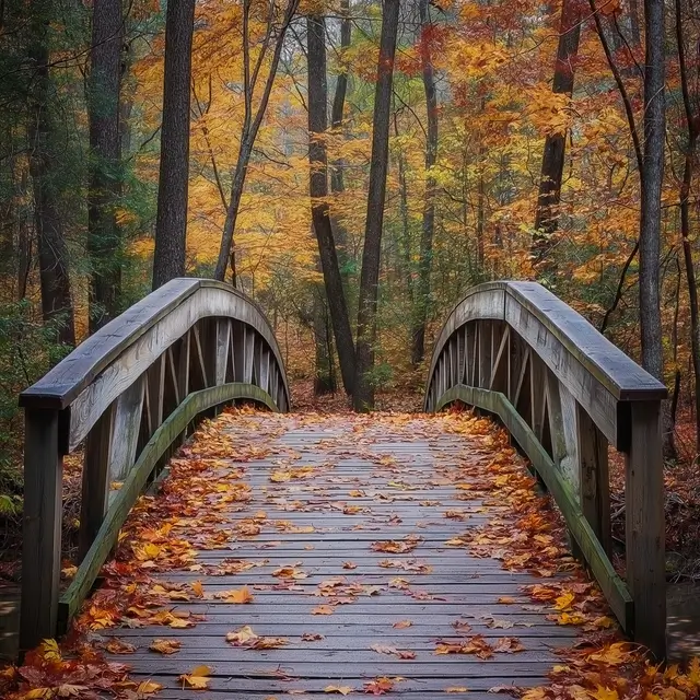 A wooden bridge covered with vibrant autumn maple leaves.