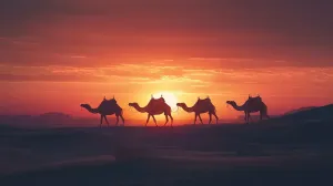 Camels Under the Harsh Desert Sun