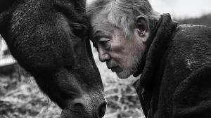 Man and Horse in Peaceful Connection