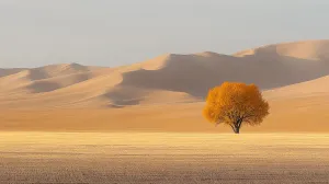 Solitary Tree in Desert